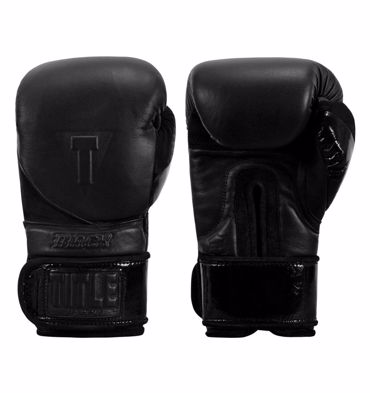 Title Boxing Gloves Training 2.0